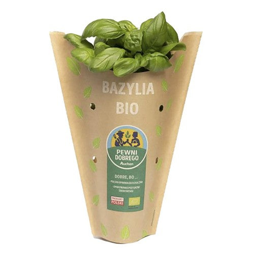 BIO Bazylia   Pewni Dobrego sztuka